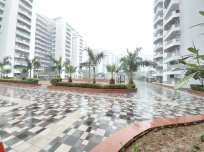 Project Image of 1310.0 - 5092.0 Sq.ft 2 BHK Apartment for buy in TARC Maceo