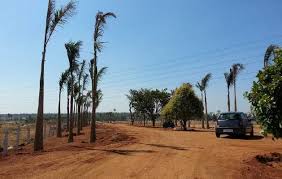 Project Image of 0.0 - 1800.0 Sq.ft Residential Plot Plot for buy in Pooja Sindhuvanam
