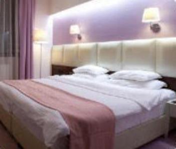 Maharaja Royal Space Bedroom 1