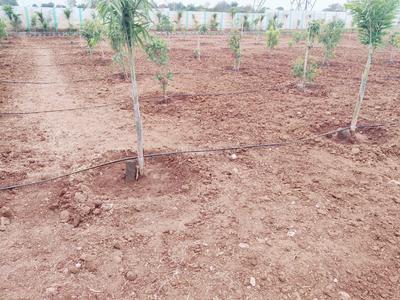 Project Image of 1300.0 - 2500.0 Sq.ft Agricultural Land Agricultural Land for buy in Green Nature Farms