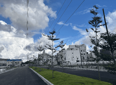 Project Images