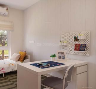 Project Images