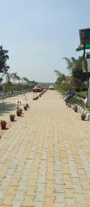 Project Image of 9072.0 - 18144.0 Sq.ft Residential Plot Plot for buy in Investors AV Farm