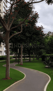 Project Image of 745.72 - 1012.02 Sq.ft 1 BHK Apartment for buy in Sobha Dream Acres Rain Forest Phase 2 Wing 3 and 4
