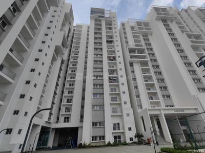 Project Image of 710.42 - 1033.34 Sq.ft 2 BHK Apartment for buy in Rohan Upavan Phase 3