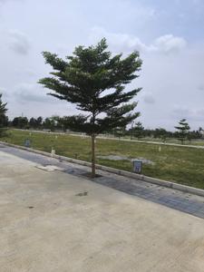 Project Image of 690.72 - 9966.3 Sq.ft Residential Plot Plot for buy in VR Mega Township