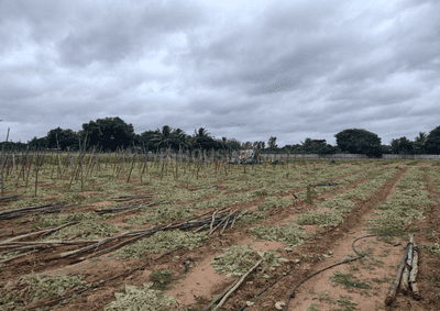 Project Image of 600.09 - 3057.38 Sq.ft Residential Plot Plot for buy in KNS Aura