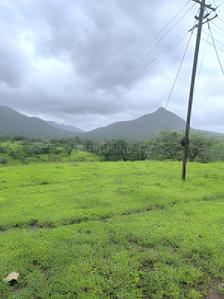 Project Image of 1000.0 - 3000.0 Sq.ft Residential Plot Plot for buy in Bhoomi Plots In Chavni