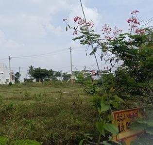Project Image of 600.0 - 1200.0 Sq.ft Residential Plot Plot for buy in Dharithri Greens