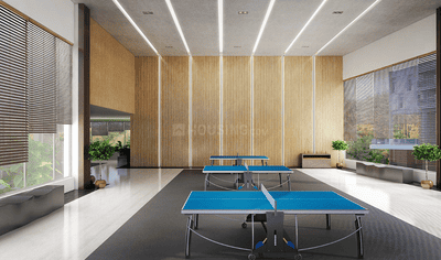 Project Images