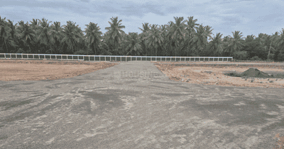 Project Images