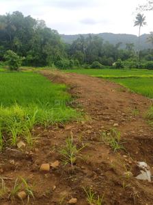 Project Image of 1000.0 - 10000.0 Sq.ft Residential Plot Plot for buy in Farm N Land Roha