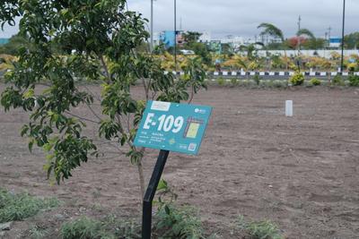 Project Image of 436.0 - 2547.0 Sq.ft Residential Plot Plot for buy in Kodies Paradise Avenue