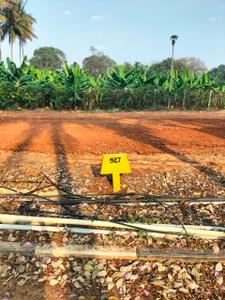 Project Image of 1500 Sq.ft Residential Plot / Land for sale in Marsur for Rs. 7050000