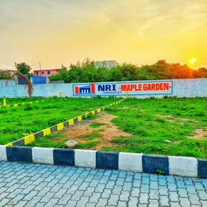 Project Image of 1207.0 - 1262.0 Sq.ft Residential Plot Plot for buy in NRI Maple Garden