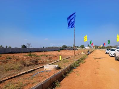 Project Image of 1323.0 - 4185.01 Sq.ft Residential Plot Plot for buy in Pearl City
