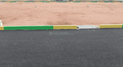 Project Images