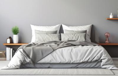 Triveni Homz Bedroom 2