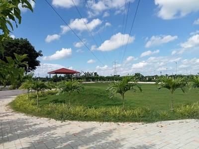 Project Image of 1100.0 - 5000.0 Sq.ft Residential Plot Plot for buy in Mauli Town 36 And 37