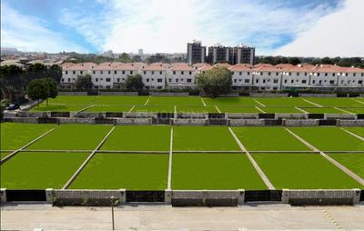 Venus Ultima kl.JPG 1