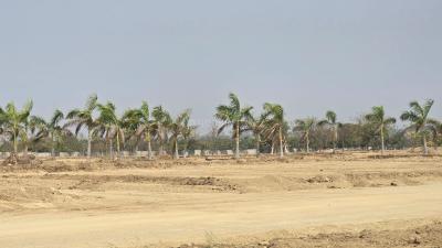 Project Image of 1800.0 - 6750.0 Sq.ft Residential Plot Plot for buy in South Pride Sanctuary