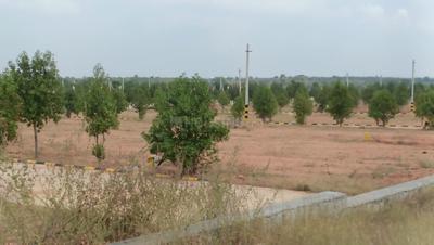 Project Image of 1800.0 - 3600.0 Sq.ft Residential Plot Plot for buy in Maytri Model Colony