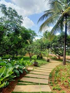 Project Image of 1199.53 - 10038.42 Sq.ft Residential Plot Plot for buy in Ameliorate Hara North One