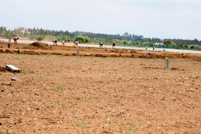 Project Image of 450.0 - 2400.0 Sq.ft Residential Plot Plot for buy in Castle Prestige Park