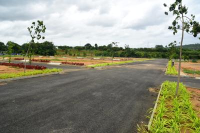 Project Image of 1200.0 - 4030.0 Sq.ft Residential Plot Plot for buy in Landmark Under The Tree Phase 1