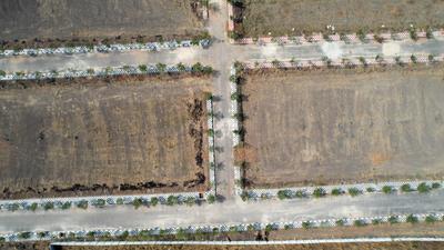 Project Image of 1503.0 - 3600.0 Sq.ft Residential Plot Plot for buy in Ramchandra Divine County