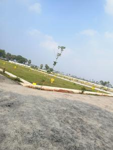 Project Image of 1119.24 - 5281.2 Sq.ft Residential Plot Plot for buy in Ananda Vihar