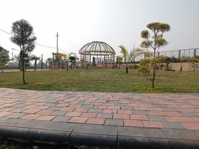 Project Image of 1500 Sq.ft Residential Plot / Land for sale in Budhaniya for Rs. 7800000