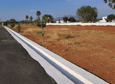 Project Images