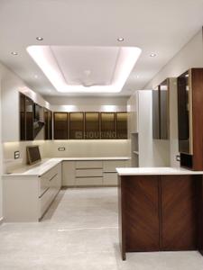 Project Image of 1750.0 - 4200.0 Sq.ft 4 BHK Builder Floor for buy in Shinee Luxury Homes