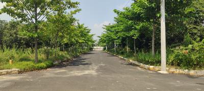 Project Image of 1503.0 - 1998.0 Sq.ft Residential Plot Plot for buy in Alluri S Nandanavanam Phase III