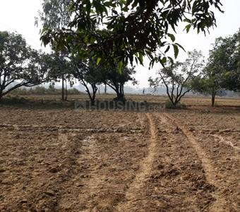 Project Image of 0.0 - 1200.0 Sq.ft Residential Plot Plot for buy in HomeswarD Green Garden Estate