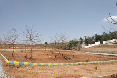 Project Image of 1200.0 - 1500.0 Sq.ft Residential Plot Plot for buy in Richmond Pearl City
