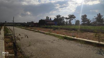 Project Image of 1200.0 - 1380.0 Sq.ft Residential Plot Plot for buy in Ambika Serene Square