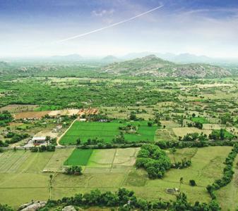 Gallery Cover Pic of Indo Bella Vista