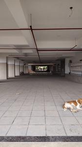 Project Image of 0.0 - 3240.0 Sq.ft 4 BHK Apartment for buy in Shreepad Balaji Residency