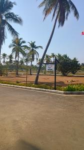 Project Image of 775.0 - 2000.0 Sq.ft Residential Plot Plot for buy in Sapphire Garden Phase 1