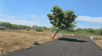 Project Images