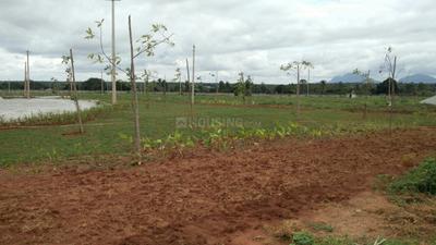 Project Image of 1108.0 - 2400.0 Sq.ft Residential Plot Plot for buy in Shriram Godhuli