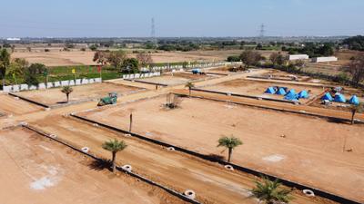 Project Image of 1350.0 - 10800.0 Sq.ft Residential Plot Plot for buy in Palm Greens