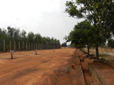 Project Image of 1200.0 - 4800.0 Sq.ft Residential Plot Plot for buy in Shreyas Sunrise Block A