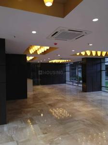 Project Image of 1615.0 - 1755.0 Sq.ft 3 BHK Apartment for buy in Tolly Exotica