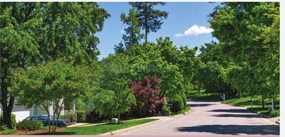 Project Image of 1797.57 - 12217.04 Sq.ft Residential Plot Plot for buy in Codename One And Only