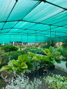 Project Image of 1575.0 - 2403.0 Sq.ft Residential Plot Plot for buy in Leo Resorts
