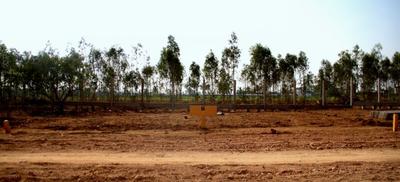 Project Image of 1140.0 - 1760.0 Sq.ft Residential Plot Plot for buy in Akshaya Vintage Venezia