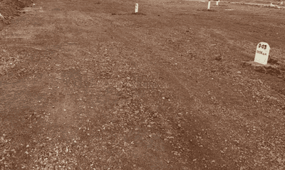 Project Image of 1100.83 - 1699.94 Sq.ft Residential Plot Plot for buy in Analyzer Gulmohar Villas W